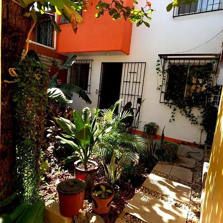 Casa Lomas Del Marinero Internet Starlink Sin Garaje Lägenhet Puerto Escondido  Exteriör bild