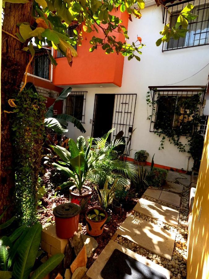 Casa Lomas Del Marinero Internet Starlink Sin Garaje Lägenhet Puerto Escondido  Exteriör bild