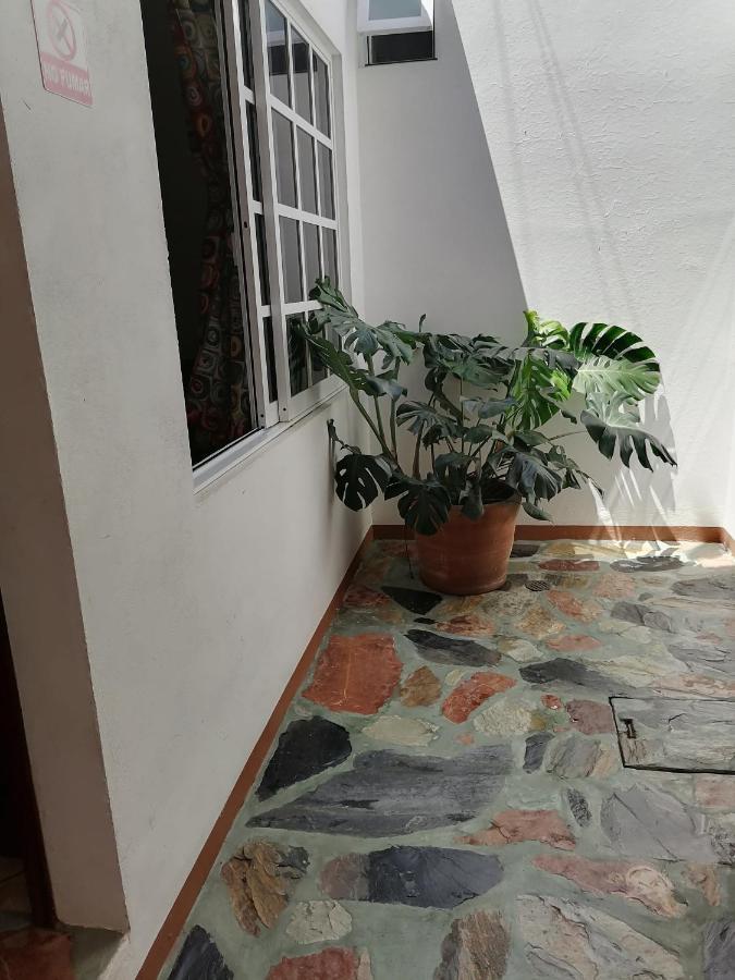 Casa Lomas Del Marinero Internet Starlink Sin Garaje Lägenhet Puerto Escondido  Exteriör bild