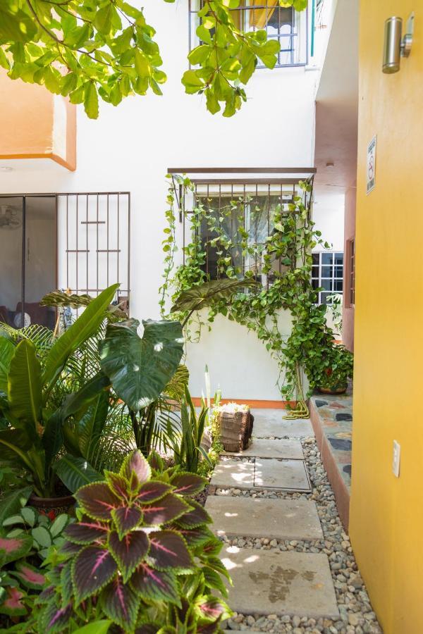 Casa Lomas Del Marinero Internet Starlink Sin Garaje Lägenhet Puerto Escondido  Exteriör bild