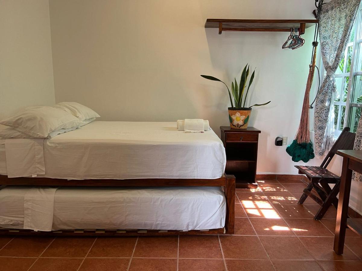 Casa Lomas Del Marinero Internet Starlink Sin Garaje Lägenhet Puerto Escondido  Exteriör bild